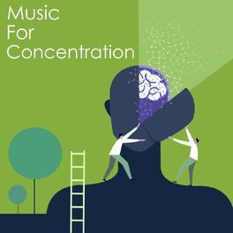 Album cover of Music for Concentration: Tchaikovsky