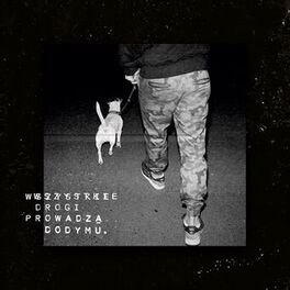 Album cover of Wszystkie Drogi Prowadza Do Dymu