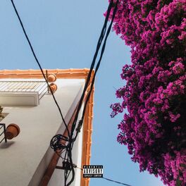 Album cover of meadow