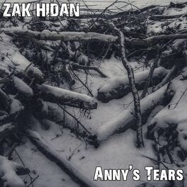 Album cover of Anny's Tears