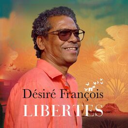 Album cover of Libertés
