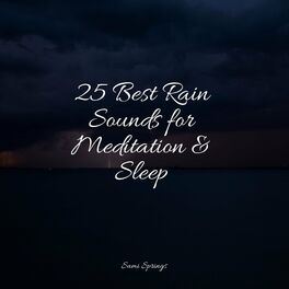 Album cover of 25 Best Rain Sounds for Meditation & Sleep