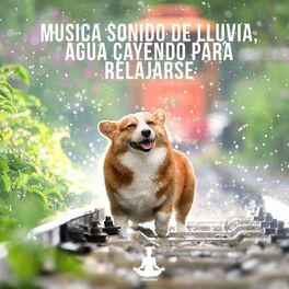 Album cover of Musica sonido de lluvia, agua cayendo para relajarse