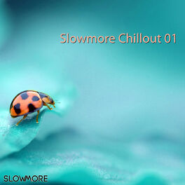 Album cover of Slowmore Chillout, Vol. 01