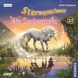 Album cover of Teil 27: Die Zauberquelle