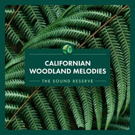 Album cover of Californian Woodland Melodies