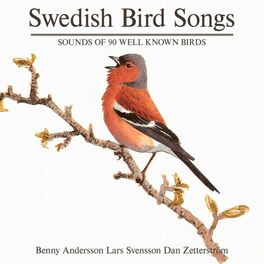 Album cover of Swedish Birdsong (90 Well Known Birds)