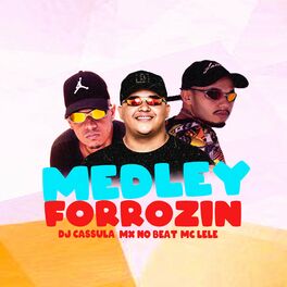 Album cover of Medley Forrozin