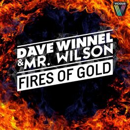 Album cover of Fires Of Gold