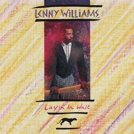 Album cover of Layin' In Wait