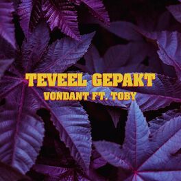 Album cover of Te Veel Gepakt