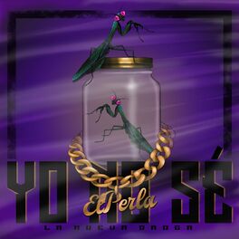 Album cover of Yo No Sé