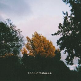 Album cover of The Comstocks