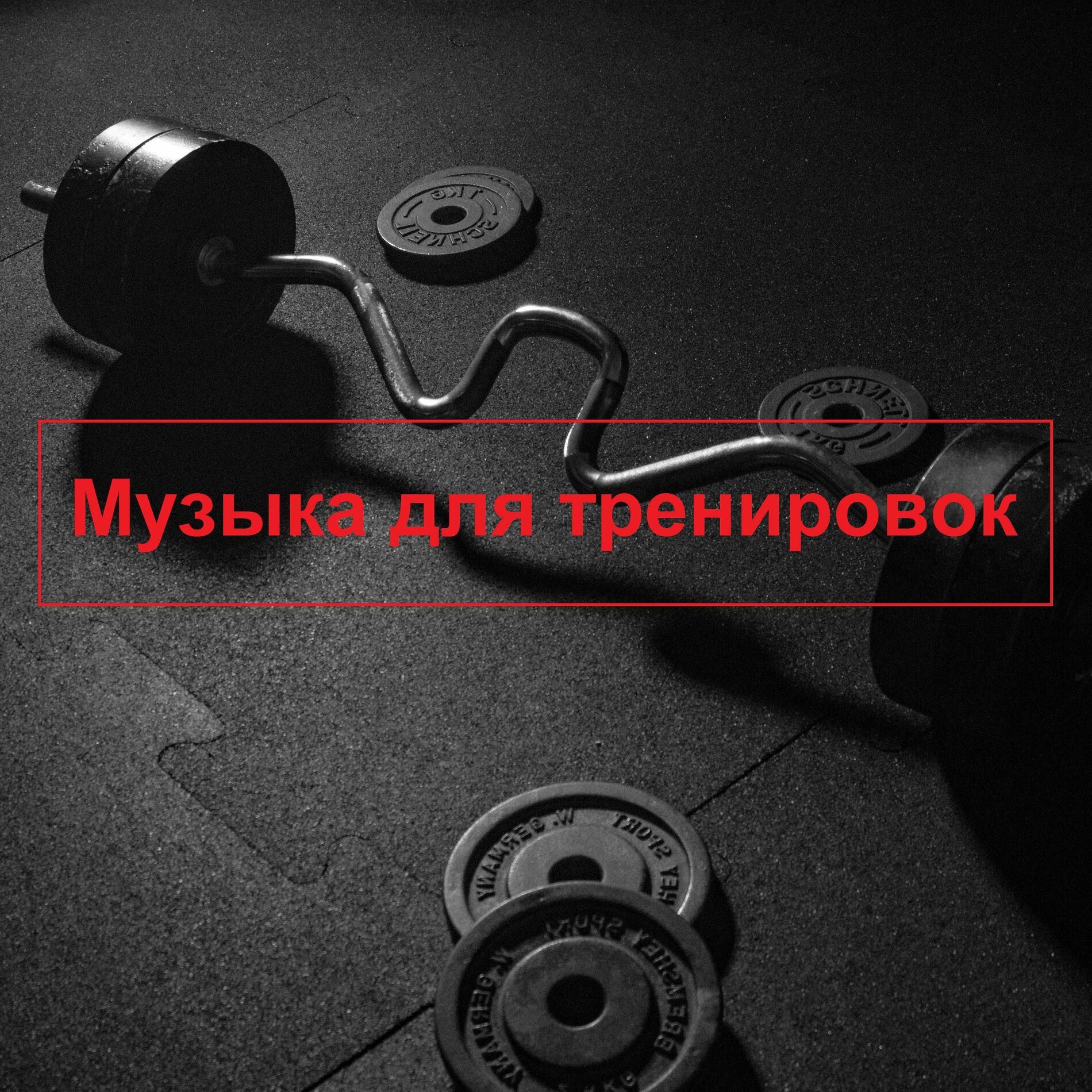 Музыка для тренировок: альбомы, песни, плейлисты | Слушайте на Deezer