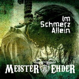 Album cover of Im Schmerz allein