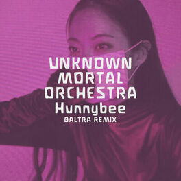 Album cover of Hunnybee (Baltra Remix)