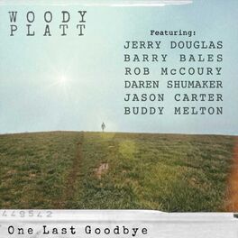 Album cover of One Last Goodbye