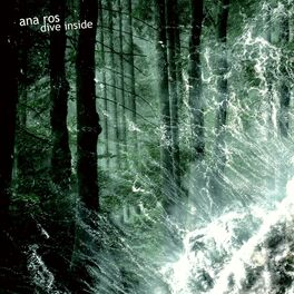 Album cover of Dive Inside (feat. John Heavern, Du Brae, Moe Howard, Chris Branch, Daniele Silvestri, Carlos Baez & Timothy Reid)