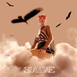 Album cover of SLAYBAE