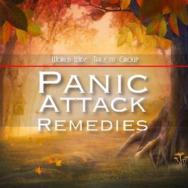 Album cover of Panic Attack Remedies