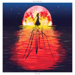 Album cover of Feuer