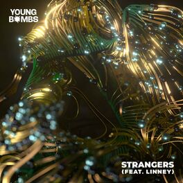 Album cover of Strangers (feat. Linney)
