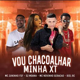 Album cover of Vou Chacoalhar Minha Xt