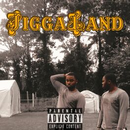 Album cover of Jiggaland