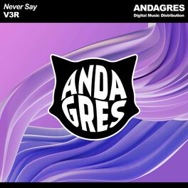 Album cover of Never Say