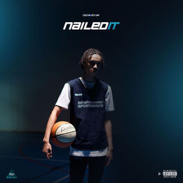 Album cover of Nailed It