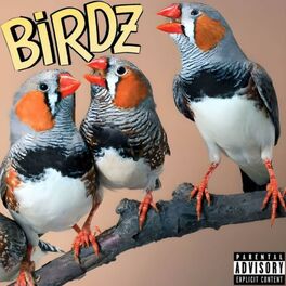 Album cover of BIRDZ