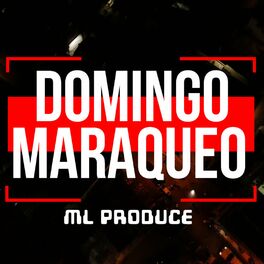 Album cover of DOMINGO DE MARAQUEO (feat. EL PERROTE WZ & DANNY TYGER)
