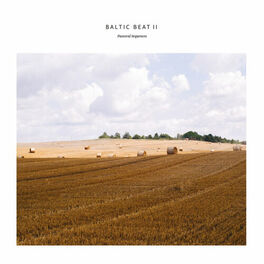 Album cover of Baltic Beat II