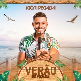 Album picture of Verão do Pegada