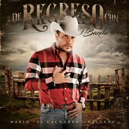 Album cover of De Regreso Con La Banda
