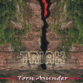 Album cover of Torn Asunder