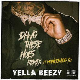 Album cover of Dawg These Hoes (feat. Moneybagg Yo) (Remix)