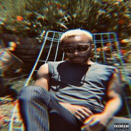 Album cover of L.S.D