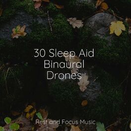 Album cover of 30 Sleep Aid Binaural Drones