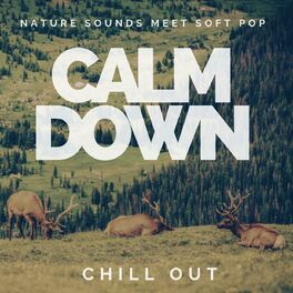 Album cover of Nature Sounds meet Soft Pop - Calm Down - Chill Out
