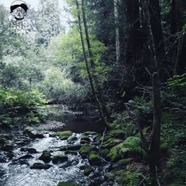 Album cover of Meet Me Where the River Turns Grey
