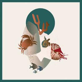 Album cover of Nautilus