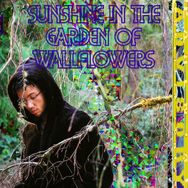 Album cover of Sunshine in the Garden of Wallflowers