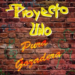 Album cover of Pura Gozadera