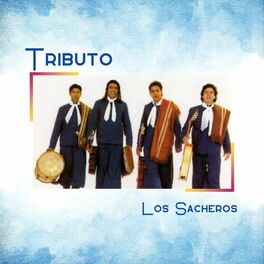 Album cover of Tributo