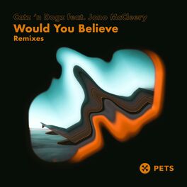 Album cover of Would You Believe Remixes