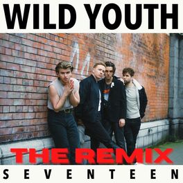 Album cover of Seventeen (THE REMIX)