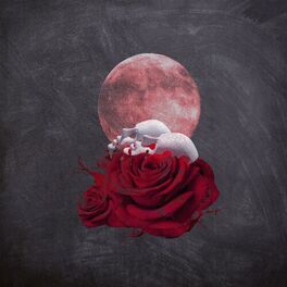 Album cover of Renaissance