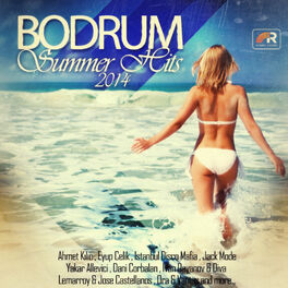 Album cover of Bodrum Summer Hits 2014