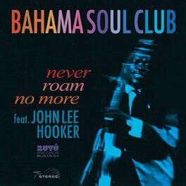 Album cover of Never Roam No More (feat. John Lee Hooker)